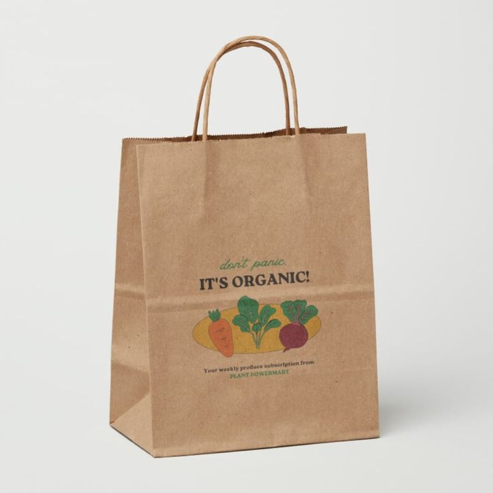Custom Printed Paper Grocery Bags with Durable Carry Handles