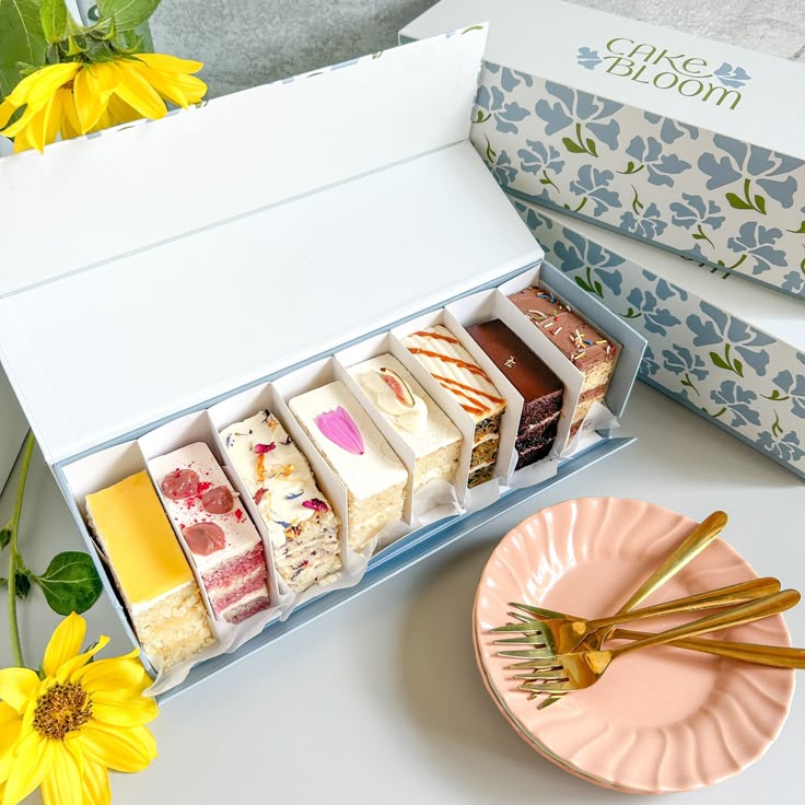 Sheet Cake Boxes Heavy-Duty Professional Tall for Full-Slab Bakery Delivery and Events